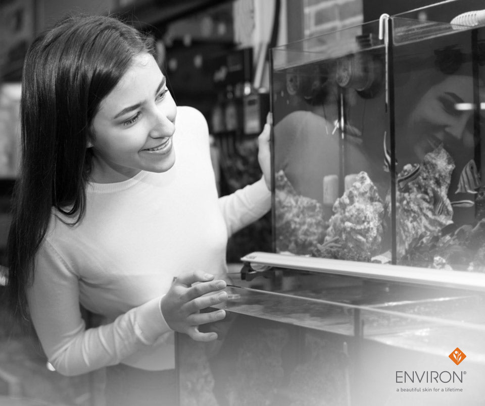 A black and white aquarium with clear glass panels and rocky interior decor showing fish to help de stress
