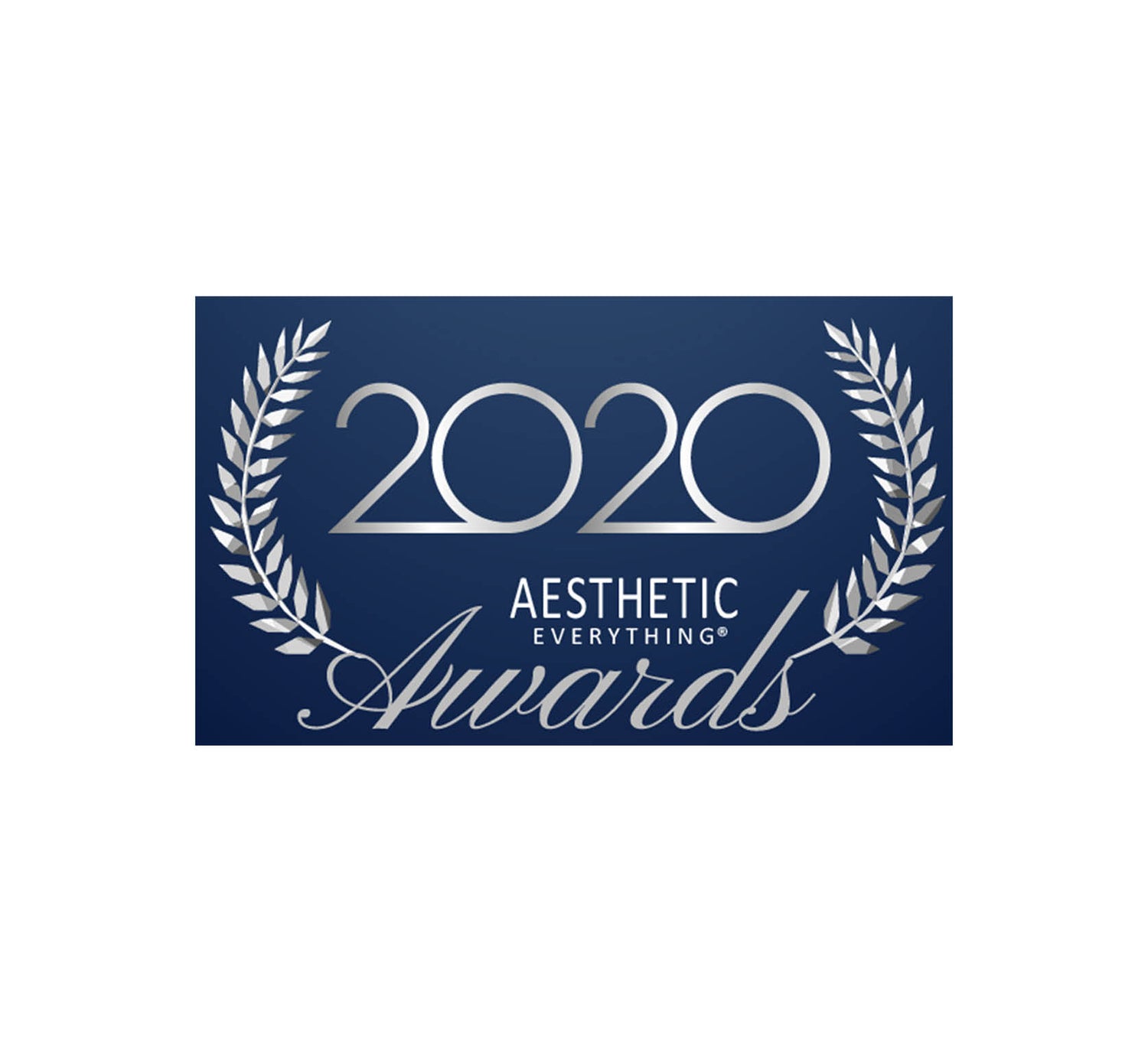 Silver laurel wreath emblem with ’2020 aesthetic everything awards’ text on a navy blue background.
