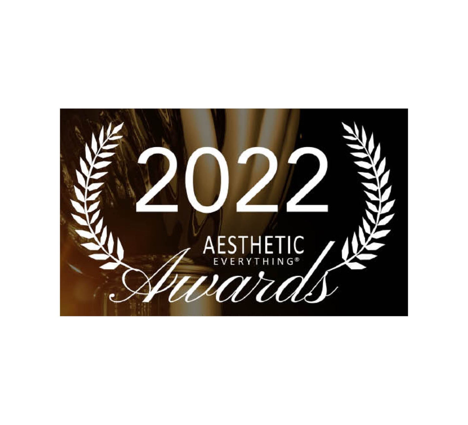 2022 aesthetic everything awards logo featuring white laurel wreaths and elegant script text on a dark background.
