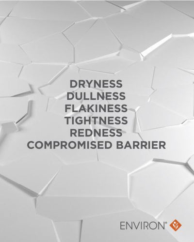 Enhanced Formula Video 2